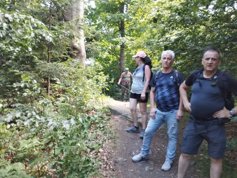 Wycieczka w Góry Bardzkie s81 - PTTK Strzelin