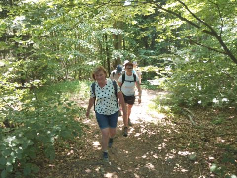 Wycieczka w Góry Bardzkie s83 - PTTK Strzelin