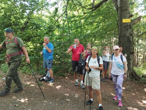 Wycieczka w Góry Bardzkie s85 - PTTK Strzelin