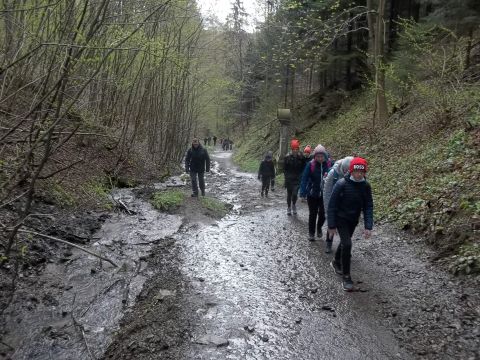 Wycieczka w Góry Bardzkie s1 - PTTK Strzelin