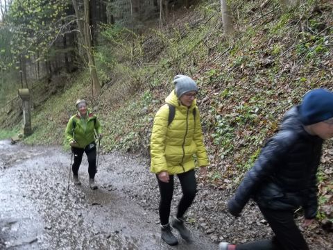 Wycieczka w Góry Bardzkie s3 - PTTK Strzelin