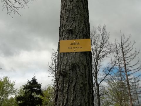 Wycieczka w Góry Bardzkie s18 - PTTK Strzelin