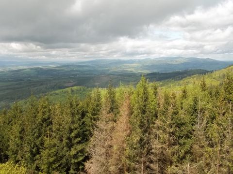 Wycieczka w Góry Bardzkie s27 - PTTK Strzelin