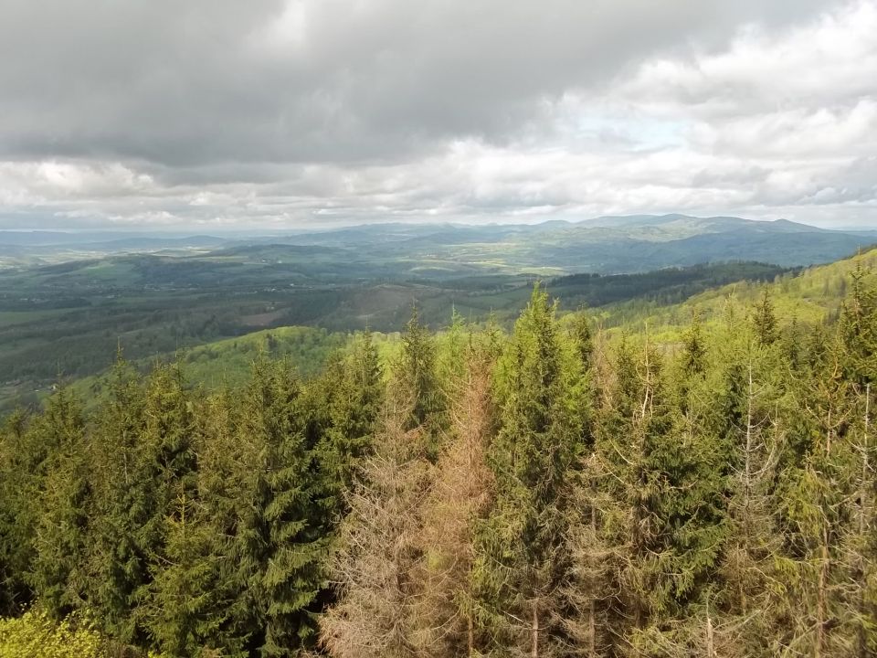 Wycieczka w Góry Bardzkie s002 - PTTK Strzelin