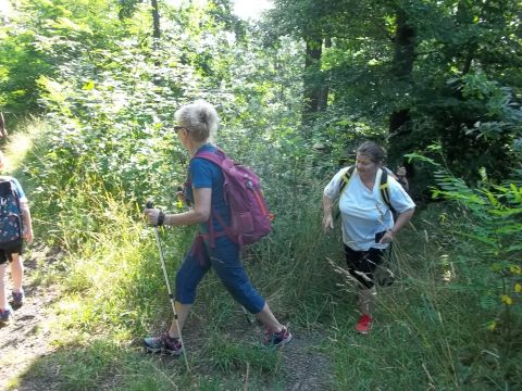 Wycieczka w Góry Bardzkie s7 - PTTK Strzelin