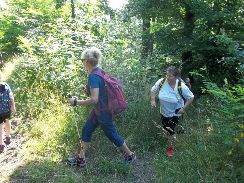 Wycieczka w Góry Bardzkie s002 - PTTK Strzelin