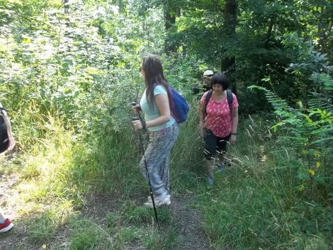 Wycieczka w Góry Bardzkie s8 - PTTK Strzelin