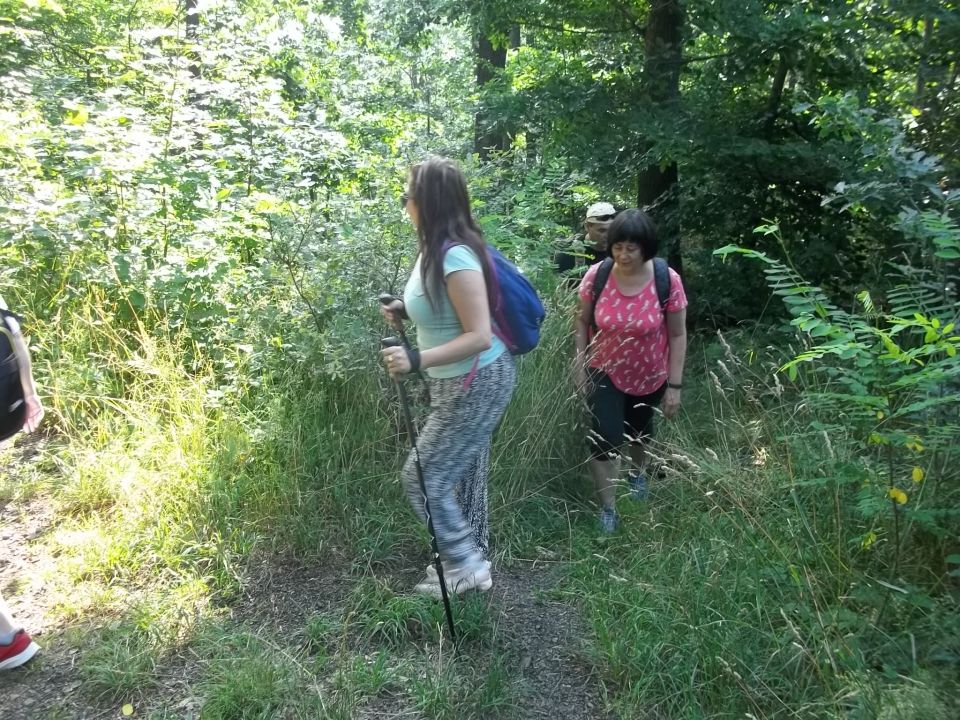 Wycieczka w Góry Bardzkie s002 - PTTK Strzelin