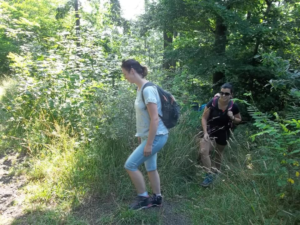 Wycieczka w Góry Bardzkie s002 - PTTK Strzelin