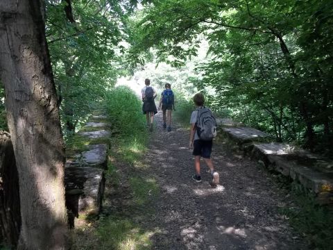 Wycieczka w Góry Bardzkie s17 - PTTK Strzelin