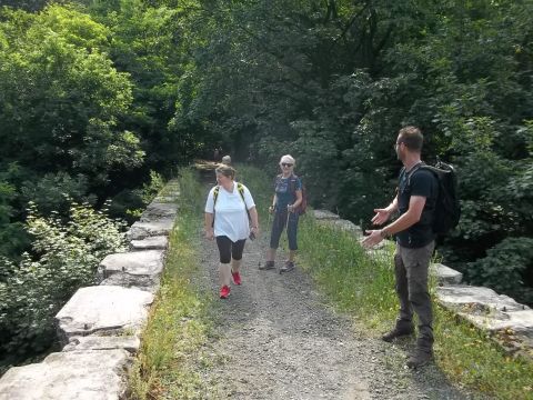 Wycieczka w Góry Bardzkie s18 - PTTK Strzelin