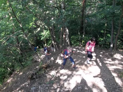 Wycieczka w Góry Bardzkie s23 - PTTK Strzelin