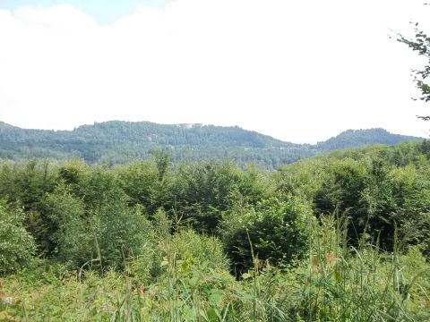 Wycieczka w Góry Bardzkie s41 - PTTK Strzelin