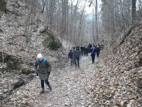 Wycieczka w Góry Bardzkie s11 - PTTK Strzelin