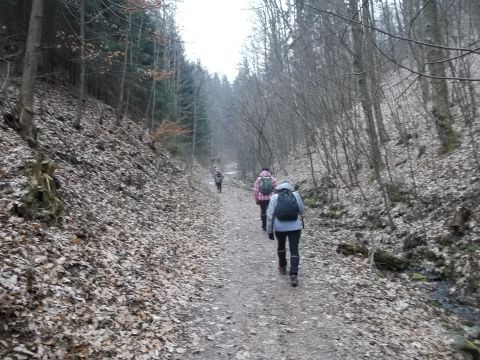 Wycieczka w Góry Bardzkie s12 - PTTK Strzelin