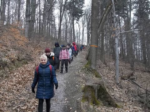 Wycieczka w Góry Bardzkie s49 - PTTK Strzelin
