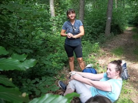 Wycieczka w Góry Bardzkie s20 - PTTK Strzelin