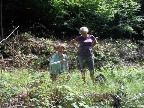 Wycieczka w Góry Bardzkie s22 - PTTK Strzelin