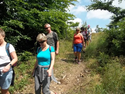 Wycieczka w Góry Bardzkie s32 - PTTK Strzelin