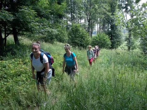 Wycieczka w Góry Bardzkie s36 - PTTK Strzelin