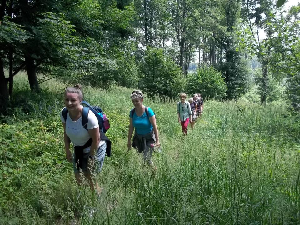 Wycieczka w Góry Bardzkie s002 - PTTK Strzelin
