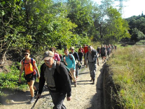 Wycieczka w Góry Bardzkie s10 - PTTK Strzelin