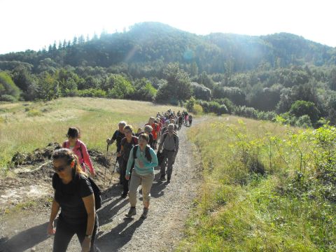 Wycieczka w Góry Bardzkie s11 - PTTK Strzelin