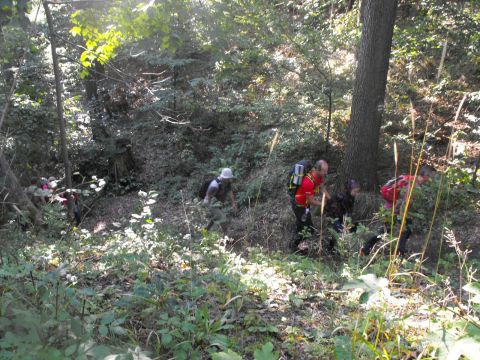 Wycieczka w Góry Bardzkie s12 - PTTK Strzelin