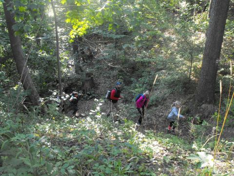 Wycieczka w Góry Bardzkie s14 - PTTK Strzelin