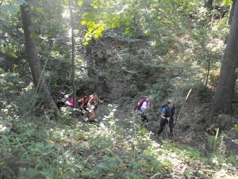 Wycieczka w Góry Bardzkie s15 - PTTK Strzelin
