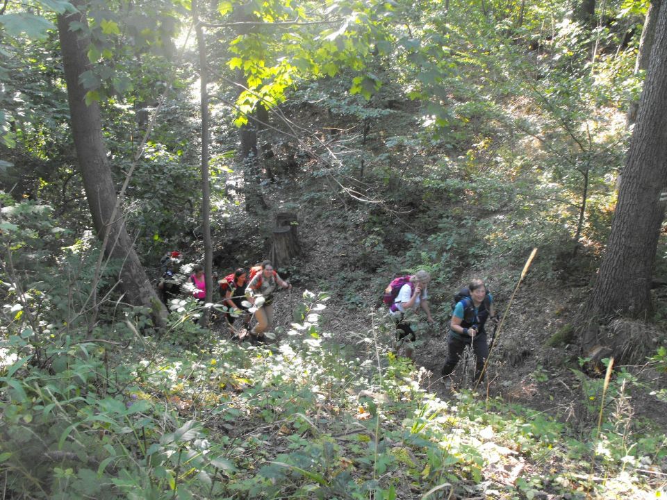 Wycieczka w Góry Bardzkie s002 - PTTK Strzelin