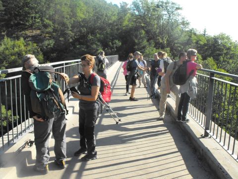 Wycieczka w Góry Bardzkie s17 - PTTK Strzelin