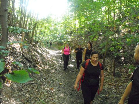 Wycieczka w Góry Bardzkie s20 - PTTK Strzelin