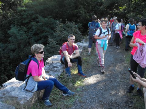 Wycieczka w Góry Bardzkie s23 - PTTK Strzelin