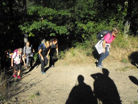 Wycieczka w Góry Bardzkie s31 - PTTK Strzelin