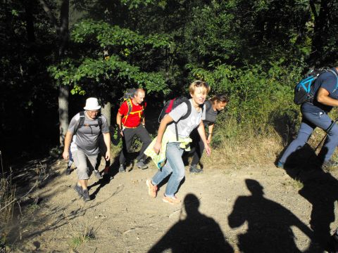 Wycieczka w Góry Bardzkie s34 - PTTK Strzelin
