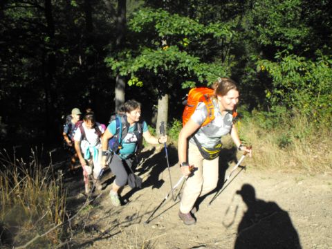 Wycieczka w Góry Bardzkie s36 - PTTK Strzelin