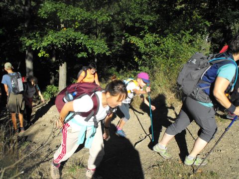 Wycieczka w Góry Bardzkie s37 - PTTK Strzelin