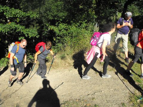 Wycieczka w Góry Bardzkie s38 - PTTK Strzelin