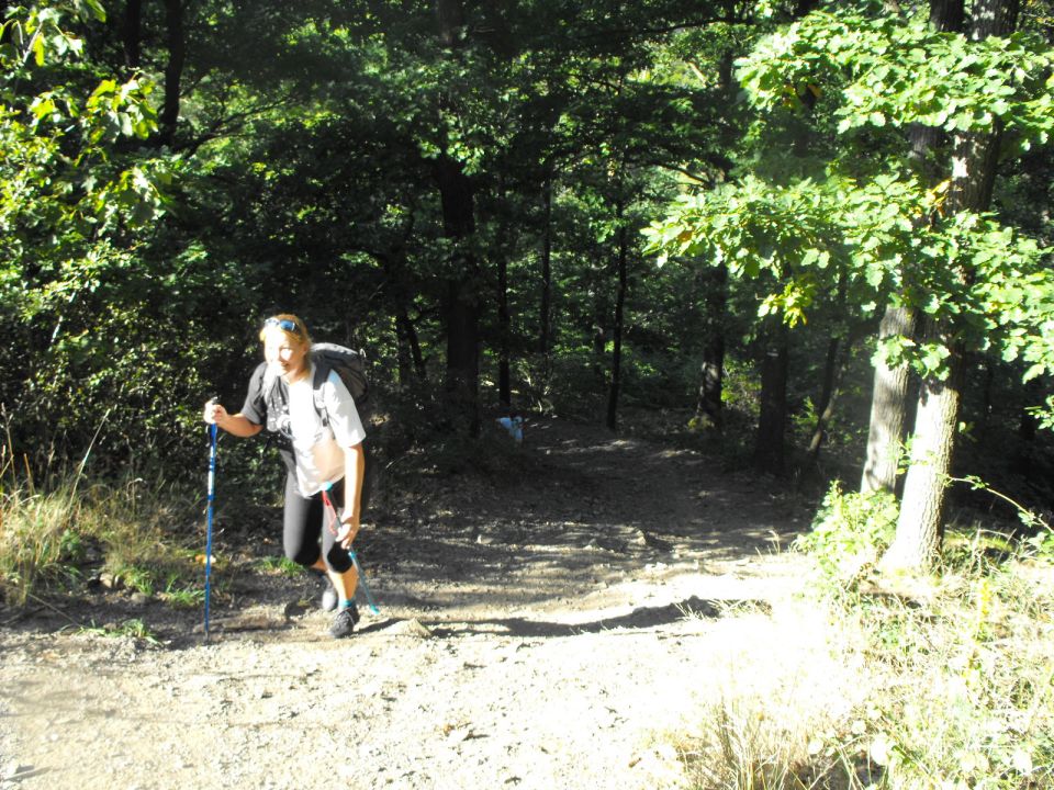 Wycieczka w Góry Bardzkie s002 - PTTK Strzelin