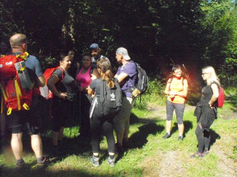 Wycieczka w Góry Bardzkie s77 - PTTK Strzelin