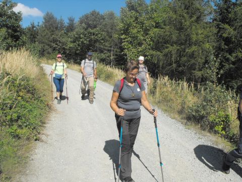 Wycieczka w Góry Bardzkie s82 - PTTK Strzelin
