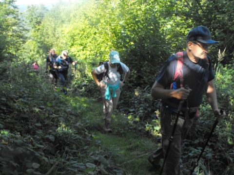 Wycieczka w Góry Bardzkie s85 - PTTK Strzelin