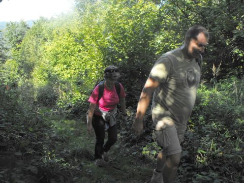 Wycieczka w Góry Bardzkie s88 - PTTK Strzelin