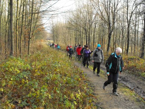 Wycieczka w Góry Bardzkie s18 - PTTK Strzelin