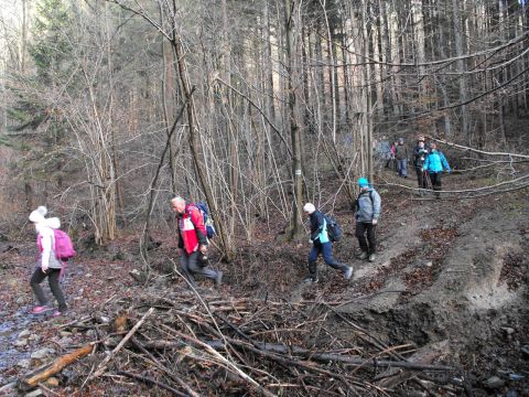 Wycieczka w Góry Bardzkie s24 - PTTK Strzelin