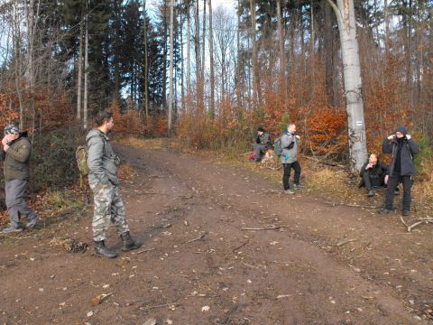 Wycieczka w Góry Bardzkie s31 - PTTK Strzelin