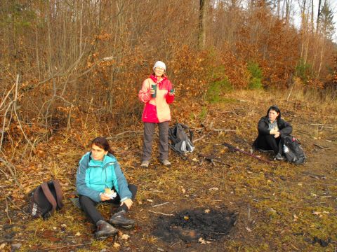 Wycieczka w Góry Bardzkie s32 - PTTK Strzelin