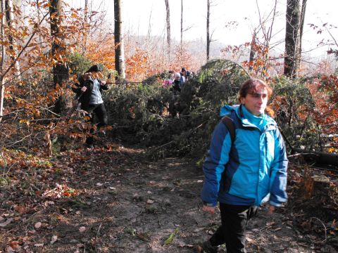 Wycieczka w Góry Bardzkie s33 - PTTK Strzelin