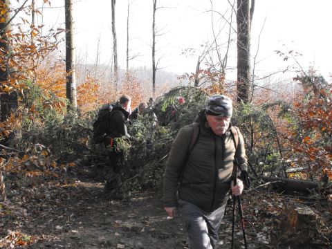 Wycieczka w Góry Bardzkie s34 - PTTK Strzelin